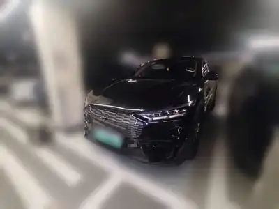 Ford Dianma 2022