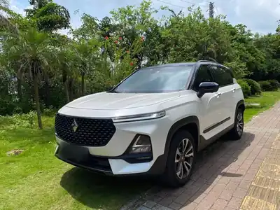 Baojun RS-5 2019