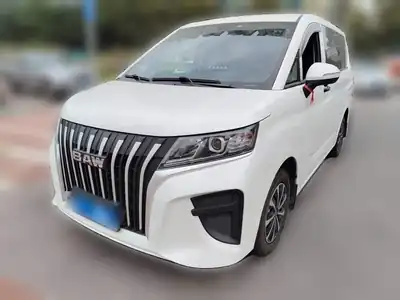 Beijingqichezhizaochang Ruishengwangpai M7 2025