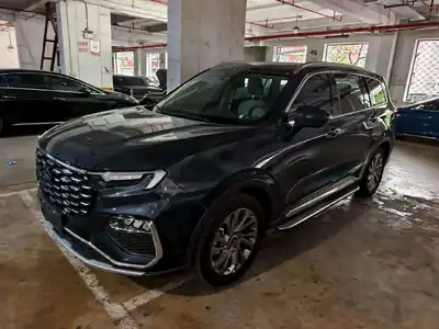 Ford Lingyu 2023