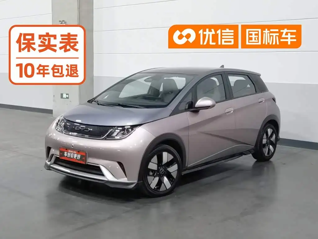 BYD Dolphin 2022, фото 1