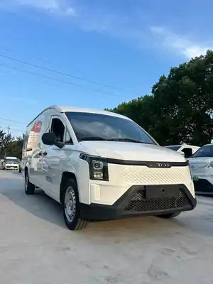 Lingshiqiche Lingshihuangjincang