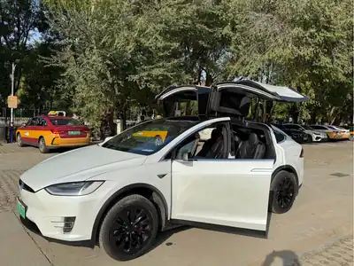 Tesla Model X 2020