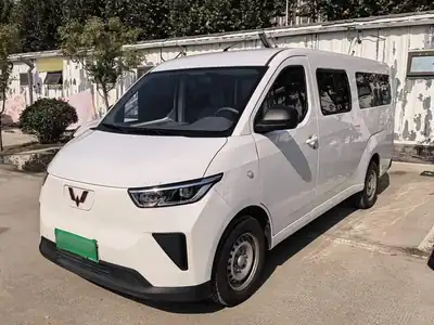Wuling Yangguang 2024