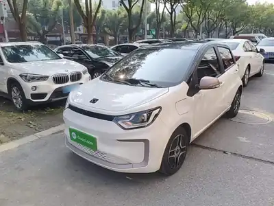 Sehol Huaxianzi 2022
