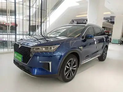 Venucia Xing 2021