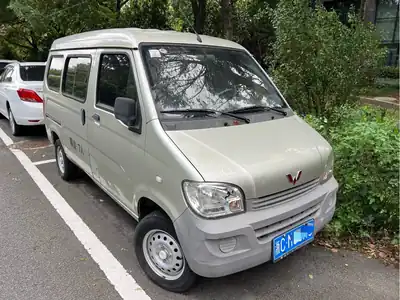 Wuling Zhiguang