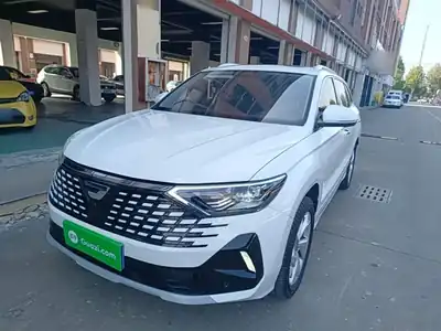 Jetta VS7 2024