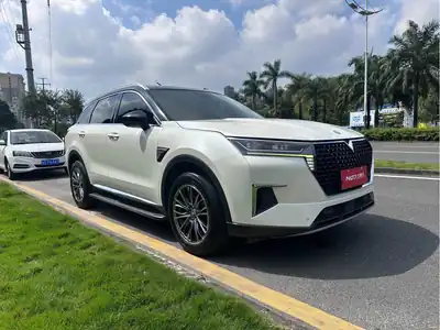 Venucia Xing 2021