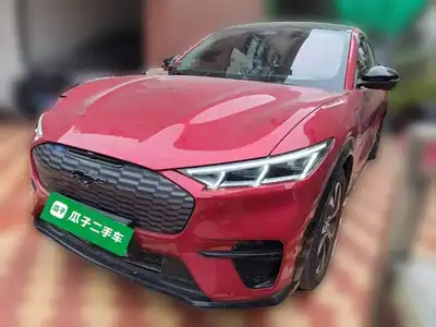 Ford Dianma 2022