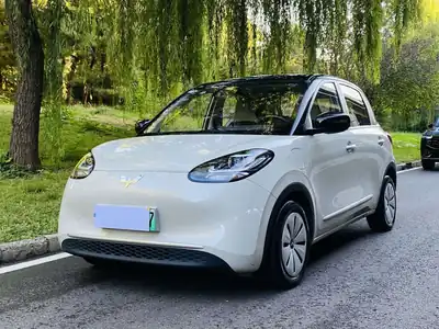 Wuling Bingo 2023