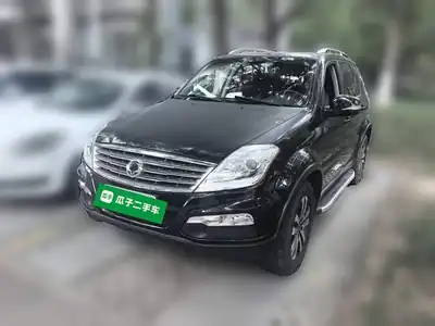 Shuanglong Leisite W