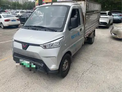 Wuling Dianka