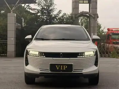 ORA iQ 2019