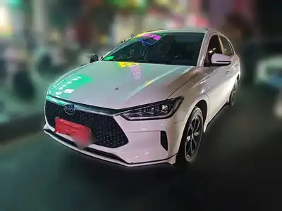 BYD e2 2022