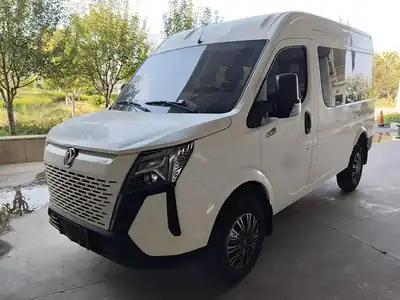 Dongfengyufeng Yufeng 2024