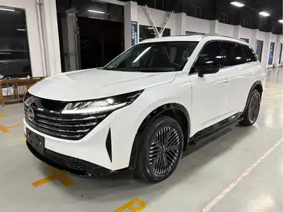 Nissan Tanlu 2024