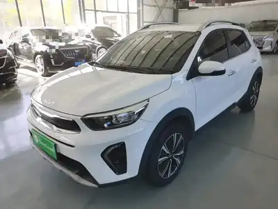 Kia Yipao 2024