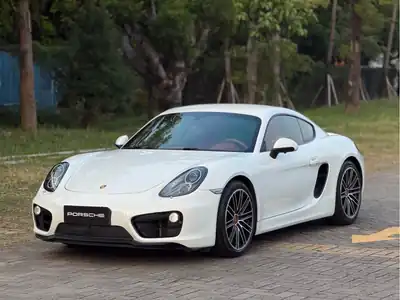 Porsche Cayman 2014