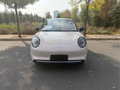 Wuling Bingo Pro