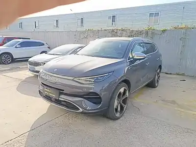 Denza X 2021