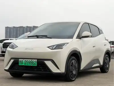 BYD Seagull 2024