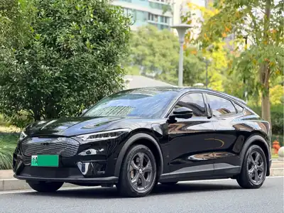 Ford Dianma 2022