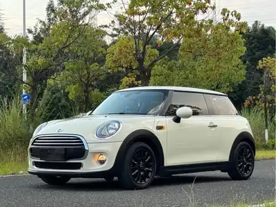 MINI MINI 2017