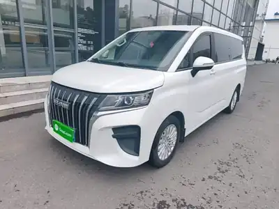 Beijingqichezhizaochang Ruishengwangpai M7 2023
