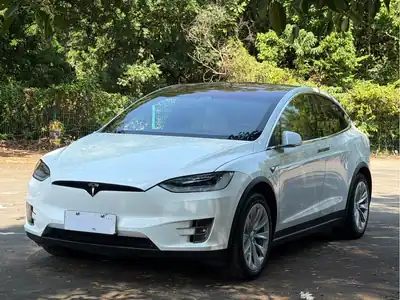 Tesla Model X 2021
