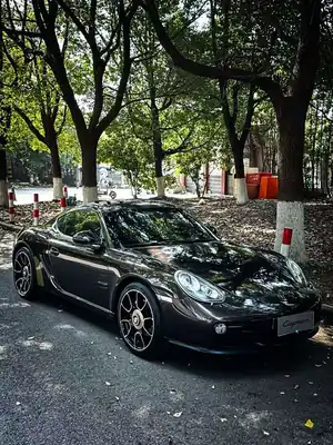 Porsche Cayman 2011