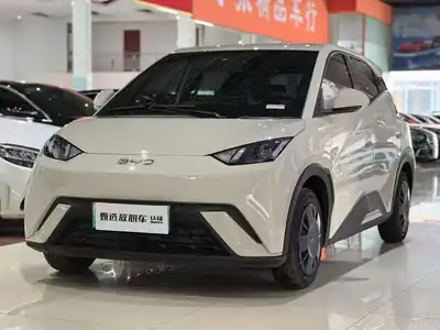 BYD Seagull 2025