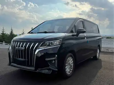 Beijingqichezhizaochang Ruishengwangpai M7 2023
