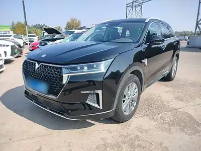 Venucia Xing 2021