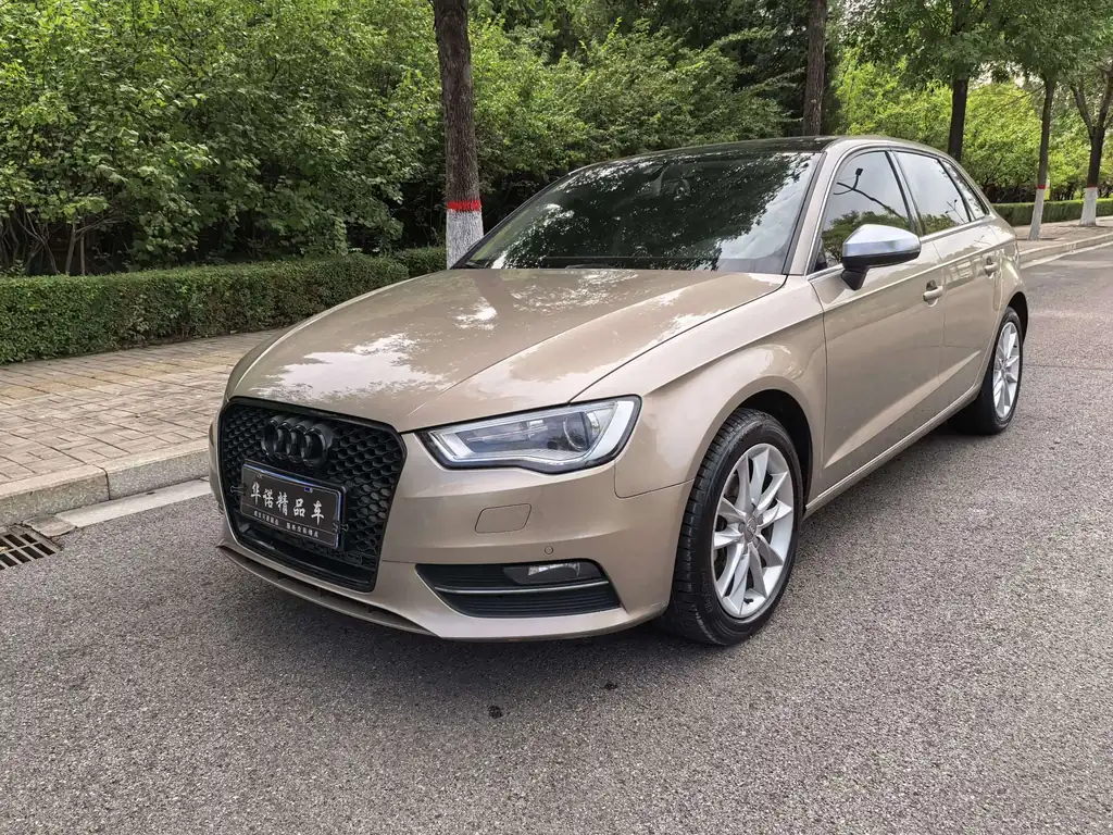 Audi A3 2016, фото 1