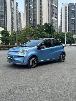 Sehol Huaxianzi 2024