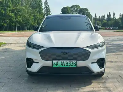 Ford Dianma 2024