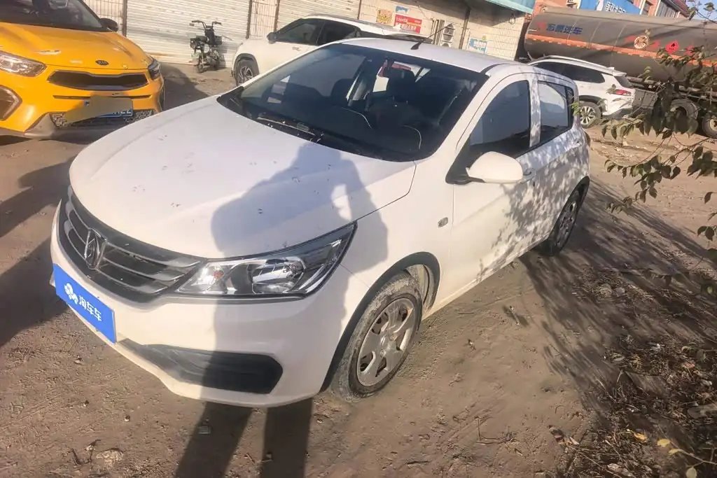Baojun 310 2019, фото 1