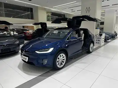 Tesla Model X 2020