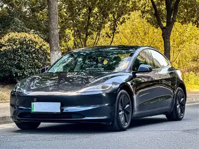 Tesla Model 3 2025