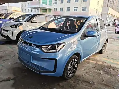 Sehol Huaxianzi 2021