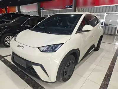 BYD Seagull 2024