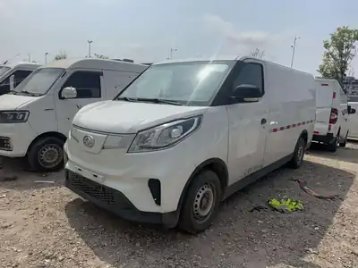 Maxus EV30 2022