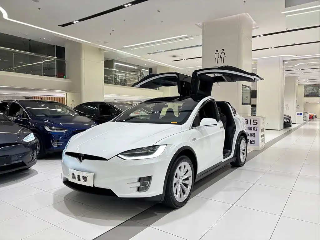 Tesla Model X 2018, фото 1