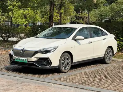Venucia D60EV