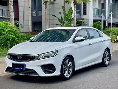 Geely Binrui 2019