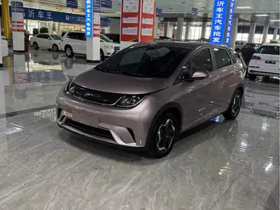 BYD Dolphin 2022
