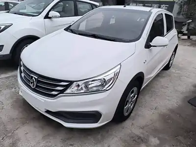 Baojun 310 2019