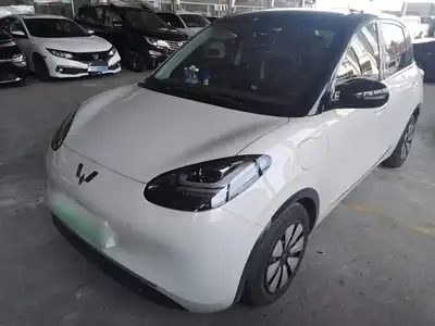 Wuling Bingo 2025