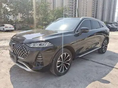 WEY Moka 2022